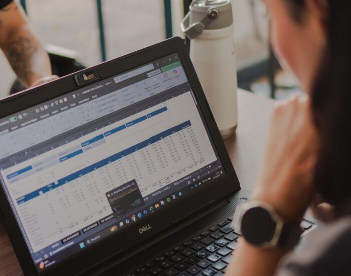 Osoba pregledava Excel tabelu na ekranu laptopa
